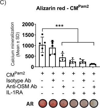 Fig.7.C from the publication: Many but not all pathogen-associated molecular patterns aggravate neurogenic heterotopic ossification after spinal cord injury.