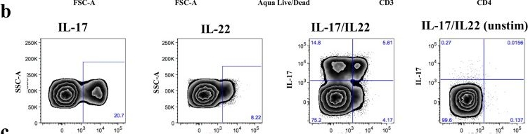 Fig.2.B showing Flow cytometry/Cell sorting in a Homo sapiens (Human) sample from the publication: Initiation of ART during early acute HIV infection preserves mucosal Th17 function and reverses HIV-related immune activation.