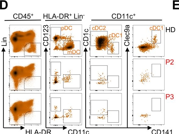 Fig.5.D showing Flow cytometry/Cell sorting in a Homo sapiens (Human) sample from the publication: FLT3L governs the development of partially overlapping hematopoietic lineages in humans and mice.