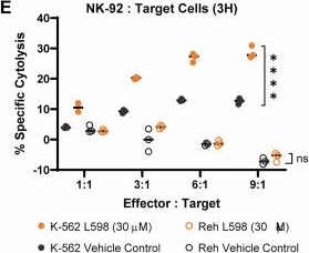 Fig.2.E from the publication: PTPN1/PTPN2 inhibition improves NK cancer therapy by enhancing IL-2 and mitigating TGFβ1 responses.