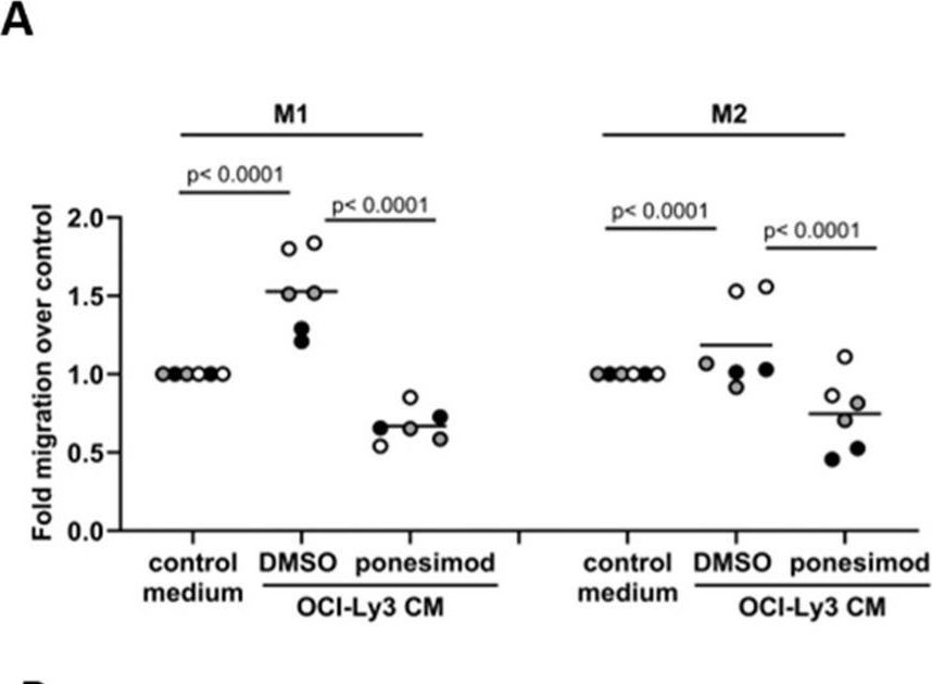 Fig.4.A from the publication: The Oncogenic Lipid Sphingosine-1-Phosphate Impedes the Phagocytosis of Tumor Cells by M1 Macrophages in Diffuse Large B Cell Lymphoma.