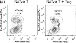 Fig.3.A showing Flow cytometry/Cell sorting from the publication: Early Detection of T cell Transfer-induced Autoimmune Colitis by In Vivo Imaging System.