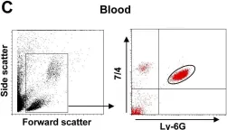 Fig.1.C showing Flow cytometry/Cell sorting in a Mus musculus (House mouse) sample from the publication: IL-1α and complement cooperate in triggering local neutrophilic inflammation in response to adenovirus and eliminating virus-containing cells.