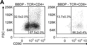 Fig.4.A showing Flow cytometry/Cell sorting from the publication: CHOP mediates endoplasmic reticulum stress-induced apoptosis in Gimap5-deficient T cells.