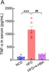 Fig.6.A showing Enzyme-linked immunosorbent assay from the publication: 4-Hydroxybenzyl Alcohol Mitigates Hyperlipidemia-Associated Depression by Inhibiting Neuroinflammation via the NKIRAS2/NF-κB Pathway.