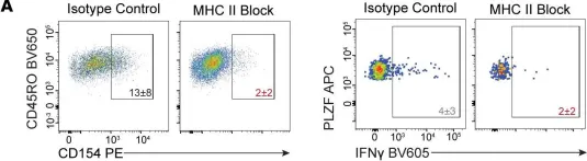 Fig.5.A showing Flow cytometry/Cell sorting from the publication: Homeostatic cytokines reciprocally modulate the emergence of prenatal effector PLZF+CD4+ T cells in humans.