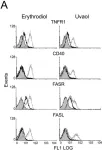 Fig.7.A showing Flow cytometry/Cell sorting in a Homo sapiens (Human) sample from the publication: Natural triterpenic diols promote apoptosis in astrocytoma cells through ROS-mediated mitochondrial depolarization and JNK activation.