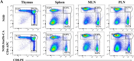 Fig.1.A showing Flow cytometry/Cell sorting in a Mus musculus (House mouse) sample from the publication: Constitutively Active Stat5b Expression in Dendritic Cells Enhances Treg-Mediated Elimination of Autoreactive CD8+ T Cells in Autoimmune Diabetes.