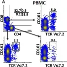 Fig.1.A showing Flow cytometry/Cell sorting from the publication: Mucosal-Associated Invariant T Cells in the Human Gastric Mucosa and Blood: Role in Helicobacter pylori Infection.