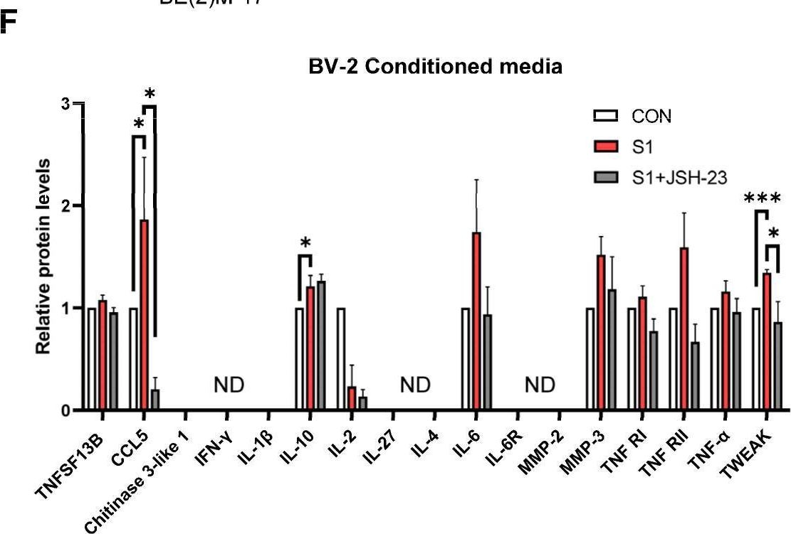 Fig.2.F from the publication: SARS-CoV-2 Spike Protein 1 Causes Aggregation of α-Synuclein via Microglia-Induced Inflammation and Production of Mitochondrial ROS: Potential Therapeutic Applications of Metformin.
