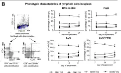 Fig.6.B showing Flow cytometry/Cell sorting from the publication: Oral Administration of Polymyxin B Modulates the Activity of Lipooligosaccharide E. coli B against Lung Metastases in Murine Tumor Models.