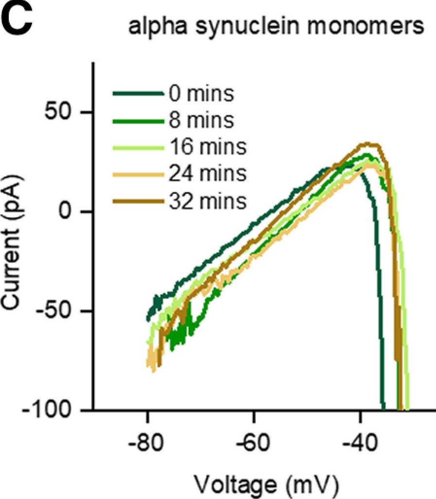 Fig.5.C from the publication: α-Synuclein Aggregates Increase the Conductance of Substantia Nigra Dopamine Neurons, an Effect Partly Reversed by the KATP Channel Inhibitor Glibenclamide.