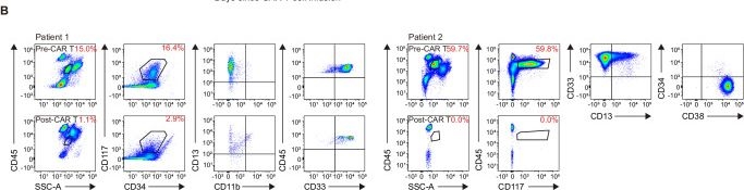 Fig.8.B showing Flow cytometry/Cell sorting in a Homo sapiens (Human) sample from the publication: C-JUN overexpressing CAR-T cells in acute myeloid leukemia: preclinical characterization and phase I trial.
