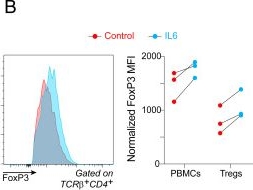 Fig.5.B showing Flow cytometry/Cell sorting from the publication: Profound Treg perturbations correlate with COVID-19 severity.