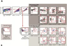 Fig.3.A showing Flow cytometry/Cell sorting in a Homo sapiens (Human) sample from the publication: Effects of the levonorgestrel-containing intrauterine device, copper intrauterine device, and levonorgestrel-containing oral contraceptive on susceptibility of immune cells from cervix, endometrium and blood to HIV-1 fusion measured ex vivo.