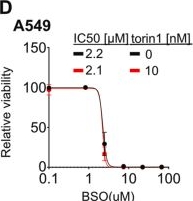 Fig.4.D from the publication: Amino acid restriction sensitizes lung cancer cells to ferroptosis via GCN2-dependent activation of the integrated stress response.
