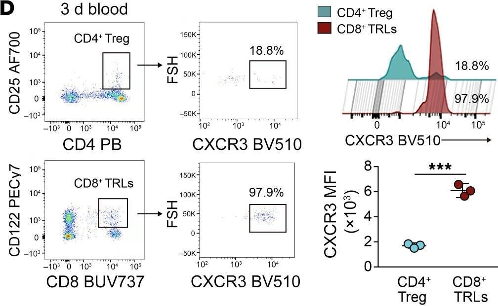 Fig.2.D showing Flow cytometry/Cell sorting from the publication: Neuroprotection against ischemic stroke requires a specific class of early responder T cells in mice.