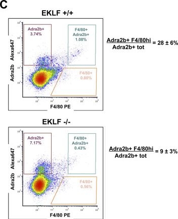 Fig.5.C showing Flow cytometry/Cell sorting from the publication: EKLF/KLF1 expression defines a unique macrophage subset during mouse erythropoiesis.