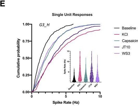 Fig.4.E from the publication: Derivation of nociceptive sensory neurons from hiPSCs with early patterning and temporally controlled NEUROG2 overexpression.
