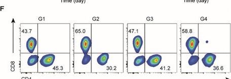 Fig.6.F showing Flow cytometry/Cell sorting in a Mus musculus (House mouse) sample from the publication: Targeting Splenic Myeloid Cells with Nanobiologics to Prevent Postablative Pancreatic Cancer Recurrence via Inducing Antitumor Peripheral Trained Immunity.