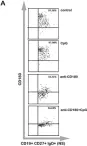 Fig.3.A showing Flow cytometry/Cell sorting from the publication: Toll-Like Receptor Mediated Activation of Natural Autoantibody Producing B Cell Subpopulations in an Autoimmune Disease Model.