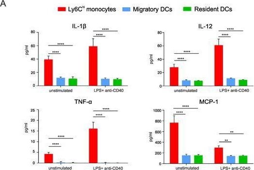 Fig.7.A showing Flow cytometry/Cell sorting from the publication: Inflammatory monocytes regulate Th1 oriented immunity to CpG adjuvanted protein vaccines through production of IL-12.
