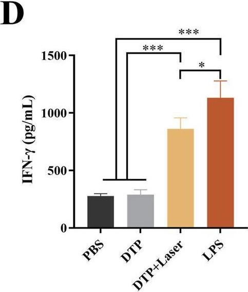 Fig.4.D showing Enzyme-linked immunosorbent assay in a Mus musculus (House mouse) sample from the publication: An immunomodulatory photosensitizer-mediated photodynamic therapy synergizes with PD-L1 blockade against metastatic triple-negative breast cancer.