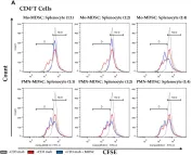 Fig.4.A showing Flow cytometry/Cell sorting in a Mus musculus (House mouse) sample from the publication: The Voltage-Gated Hv1 H+ Channel Is Expressed in Tumor-Infiltrating Myeloid-Derived Suppressor Cells.