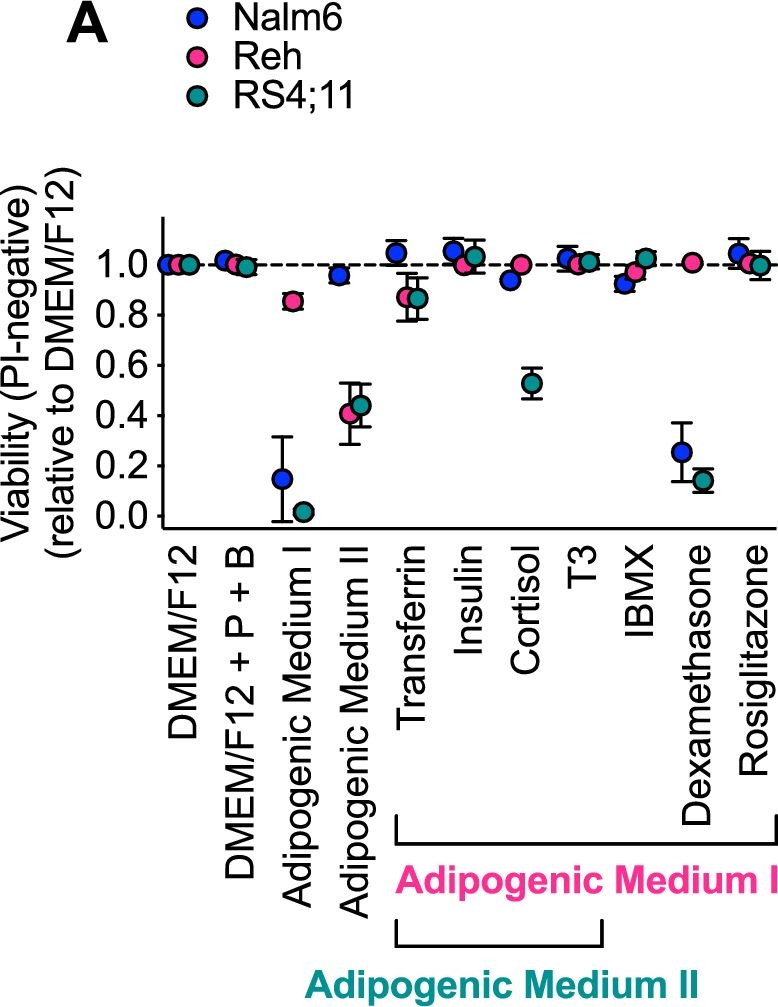 Fig.2.A from the publication: Bridging the marrow: a co-culture-platform of leukemia cells and MS5-derived stromal cells or adipocytes.