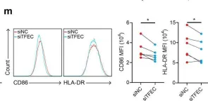 Fig.3.M showing Flow cytometry/Cell sorting from the publication: Single-cell transcriptomics reveals regulators underlying immune cell diversity and immune subtypes associated with prognosis in nasopharyngeal carcinoma.
