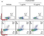 Fig.3.A showing Flow cytometry/Cell sorting in a Mus musculus (House mouse) sample from the publication: Identification of gut dysbiosis in axial spondyloarthritis patients and improvement of experimental ankylosing spondyloarthritis by microbiome-derived butyrate with immune-modulating function.