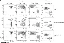 Fig.2.A showing Flow cytometry/Cell sorting from the publication: Stage-specific epigenetic regulation of CD4 expression by coordinated enhancer elements during T cell development.