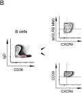 Fig.5.B showing Flow cytometry/Cell sorting from the publication: Detection of Human CD38 Using Variable Lymphocyte Receptor (VLR) Tetramers.
