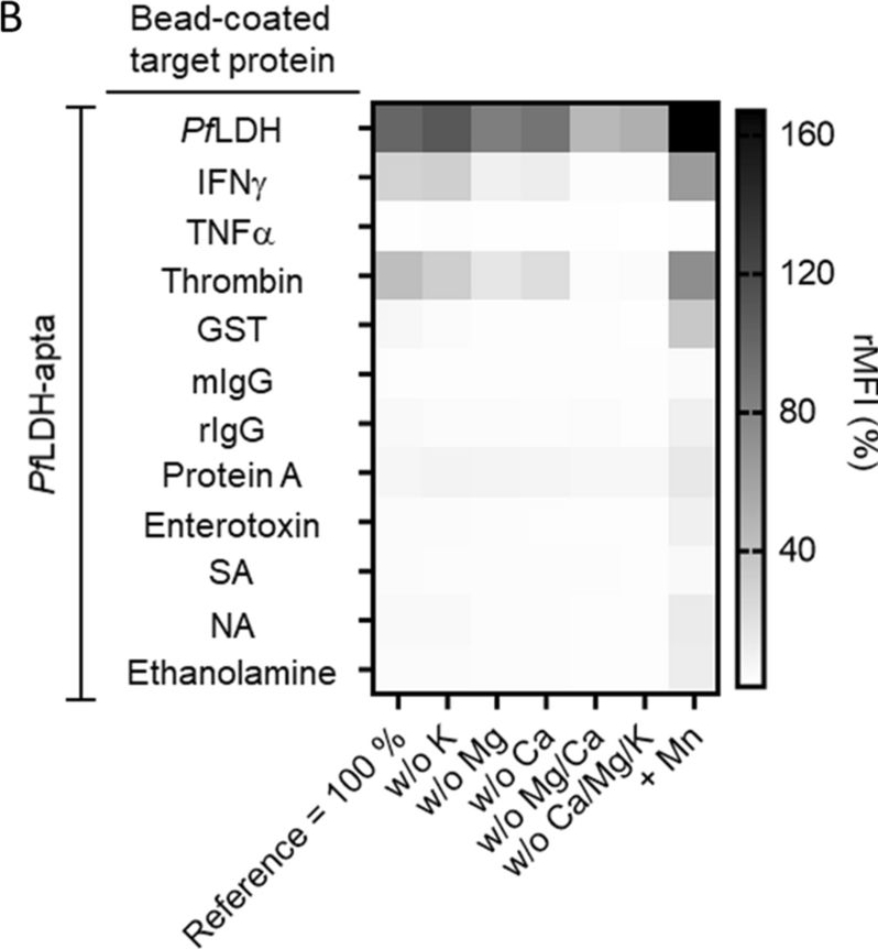 Fig.5.B from the publication: A multiparametric fluorescence assay for screening aptamer-protein interactions based on microbeads.