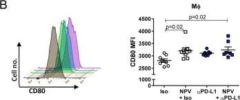 Fig.2.B showing Flow cytometry/Cell sorting from the publication: A Combination of Anti-PD-L1 Treatment and Therapeutic Vaccination Facilitates Improved Retroviral Clearance via Reactivation of Highly Exhausted T Cells.