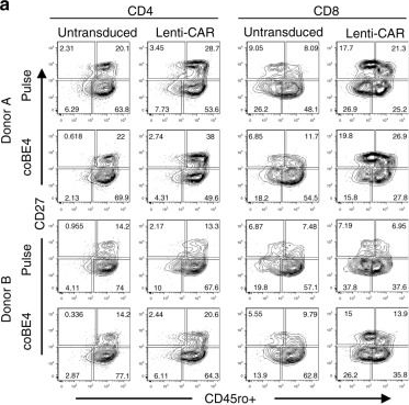 Fig.4.A showing Flow cytometry/Cell sorting in a Homo sapiens (Human) sample from the publication: Highly efficient multiplex human T cell engineering without double-strand breaks using Cas9 base editors.