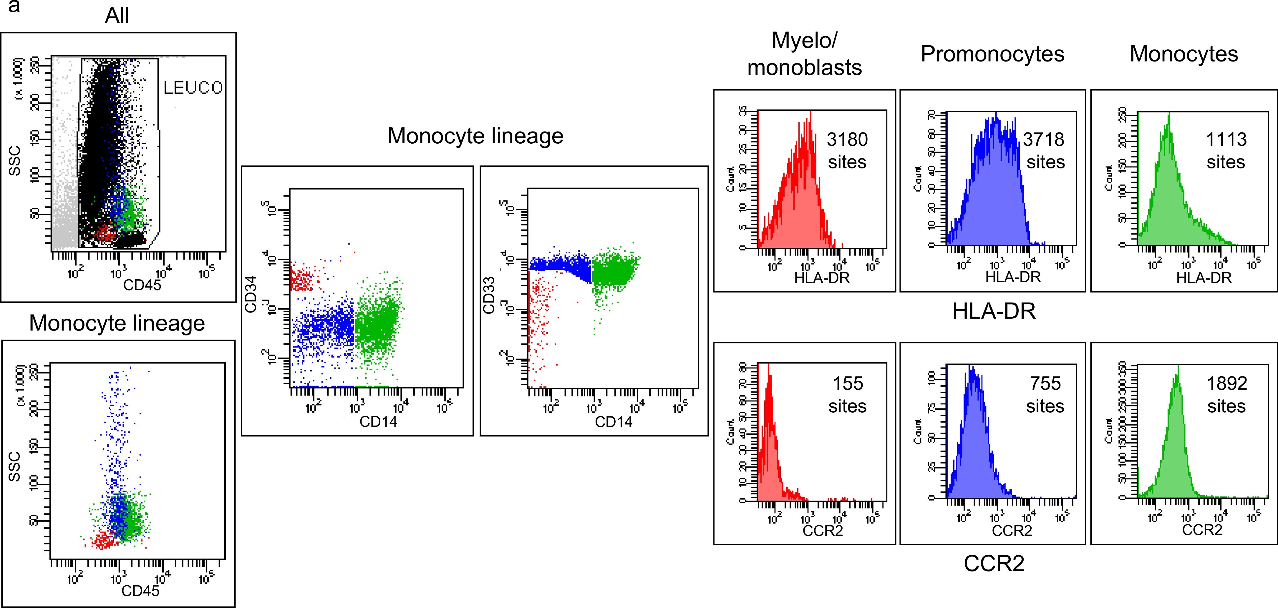 Fig.3.A showing Flow cytometry/Cell sorting in a Homo sapiens (Human) sample from the publication: Downregulation of Blood Monocyte HLA-DR in ICU Patients Is Also Present in Bone Marrow Cells.