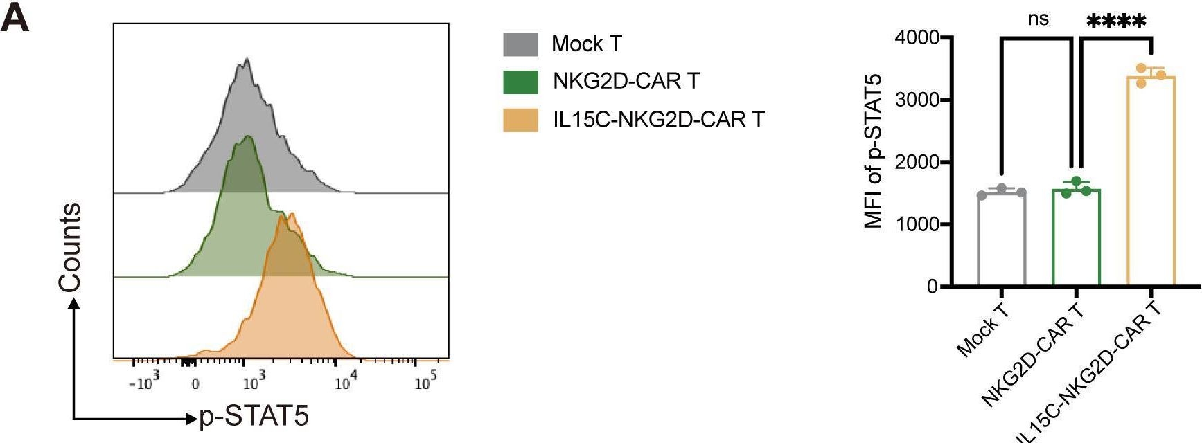 Fig.4.A showing Flow cytometry/Cell sorting from the publication: Co-expression of IL-15/IL-15Ra complex enhances NKG2D-CAR T cell-mediated anti-pancreatic cancer immunity by activating the JAK/STAT5 signaling pathway.