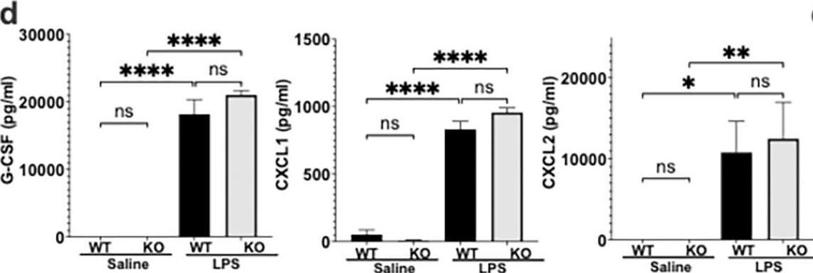 Fig.3.D showing Enzyme-linked immunosorbent assay from the publication: ECRG4 mediates host response to cutaneous infection by regulating neutrophil recruitment and adhesion receptor expression.