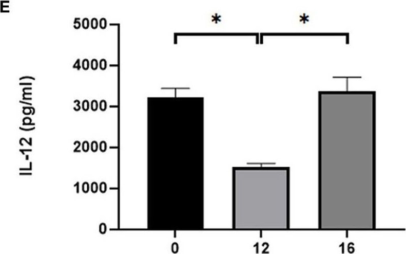 Fig.7.E showing Enzyme-linked immunosorbent assay from the publication: Establishing an experimental model for canine atopic dermatitis through epicutaneous application of Dermatophagoides farinae.