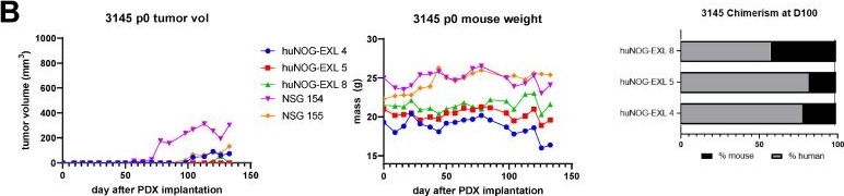 Fig.5.B from the publication: Generation of Orthotopic Patient-Derived Xenografts in Humanized Mice for Evaluation of Emerging Targeted Therapies and Immunotherapy Combinations for Melanoma.