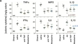 Fig.5.C showing Flow cytometry/Cell sorting from the publication: Structure-based design of a Cortistatin analogue with immunomodulatory activity in models of inflammatory bowel disease.