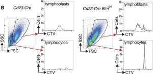 Fig.3.B showing Flow cytometry/Cell sorting in a Mus musculus (House mouse) sample from the publication: Proapoptotic BIM Impacts B Lymphoid Homeostasis by Limiting the Survival of Mature B Cells in a Cell-Autonomous Manner.