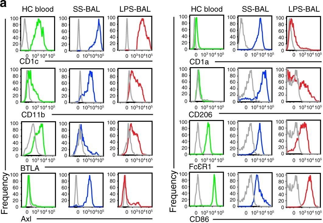 Fig.3.A showing Flow cytometry/Cell sorting in a Homo sapiens (Human) sample from the publication: Lipopolysaccharide inhalation recruits monocytes and dendritic cell subsets to the alveolar airspace.