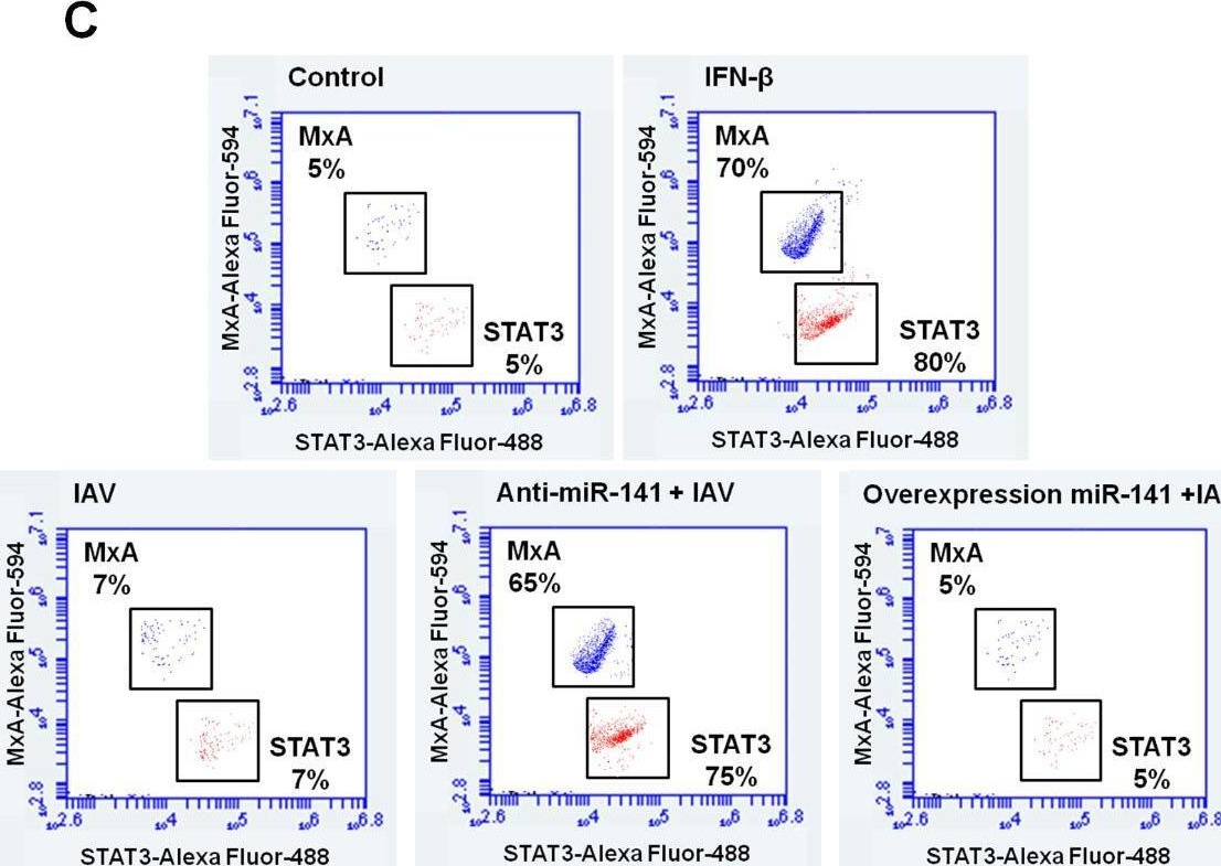 Fig.5.H showing Flow cytometry/Cell sorting in a Homo sapiens (Human) sample from the publication: Influenza a virus regulates interferon signaling and its associated genes; MxA and STAT3 by cellular miR-141 to ensure viral replication.