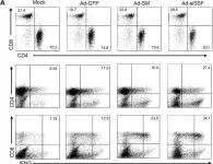 Fig.2.A showing Flow cytometry/Cell sorting from the publication: Efficacy of intracellular immune checkpoint-silenced DC vaccine.