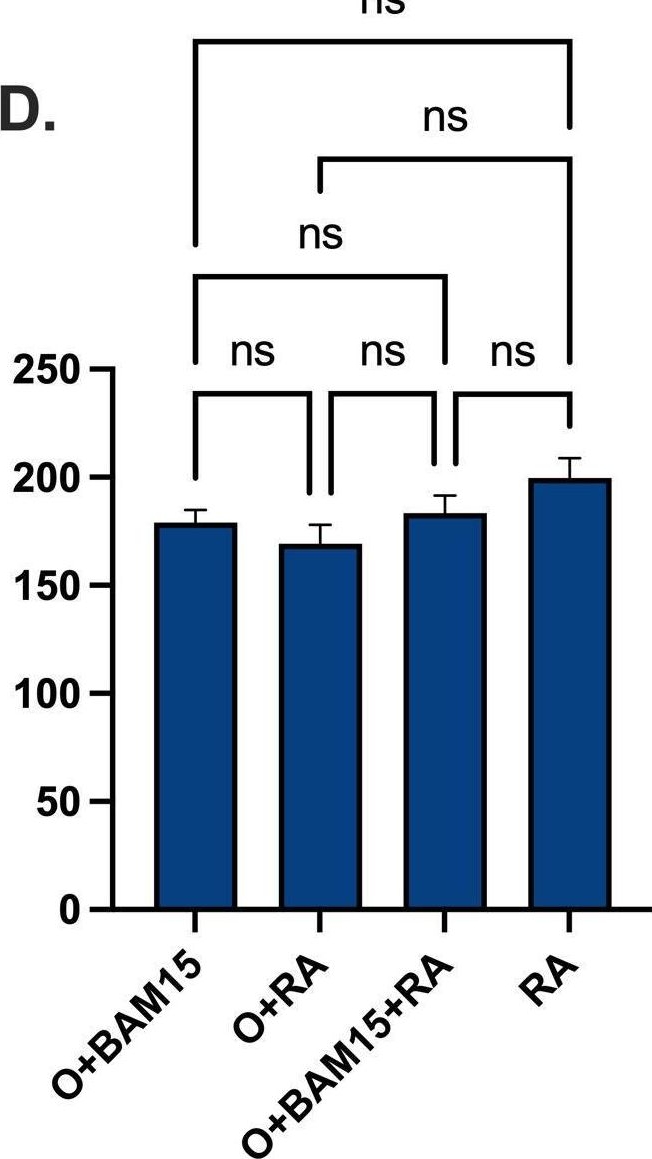 Fig.2.D from the publication: Comprehensive real-time metabolic profiling of peripheral blood mononuclear cells reveals important methodological considerations for immunometabolism research.