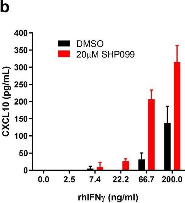 Fig.4.B showing Enzyme-linked immunosorbent assay in a Mus musculus (House mouse) sample from the publication: SHP2 blockade enhances anti-tumor immunity via tumor cell intrinsic and extrinsic mechanisms.