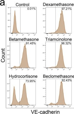 Fig.7.A showing Flow cytometry/Cell sorting in a Mus musculus (House mouse) sample from the publication: Cell Transitions Contribute to Glucocorticoid-Induced Bone Loss.