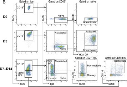 Fig.3.B showing Flow cytometry/Cell sorting from the publication: Integrating single-cell biophysical and transcriptomic features to resolve functional heterogeneity in mantle cell lymphoma.